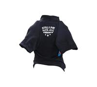 Dog Spring Shirt With Funny Words- "STILL LIVE With My- Parents-" Blue/Black Pullover Clothing Apparel Dog Shirts For Large Dogs