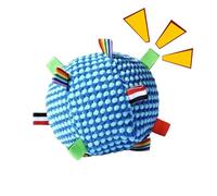 Dog Squeaky Sounds Interactive Fun Plush Chew Toys | Small Dog Toy for Corner Space, Single Moment, Apartment, Kitchen, Living Room, Blue House