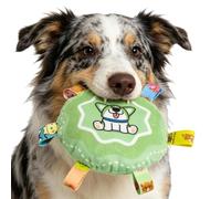 Dog Squeaky Toys with Bell Pet Sensory Exercise Play Supplies