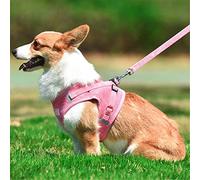 Dog Step In Harness And Leads Sets No Pull Adjustable Reflective Soft Mesh Corduroy Vest Harnesses For Puppies Yorkie Chihuahua Cats (C, S)