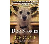 Dog Stories: Everything You Need To Know About Life Is Right There At Your Feet