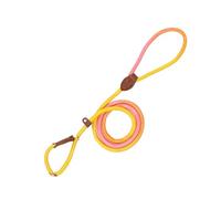 Dog Straps - Correa Parra | Korea Puppy Walk Nylon Rope Without Pull | Little Medium Pieros Outdoor Accessories for Escape Test Couple Camping Running