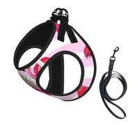 Dog Summer Tropical Flamingo And Pineapple Printed Harness And Leash Set,Adjustable,Breathable Soft,Step-In Mesh Pet Vest Harness With Reflective Strip