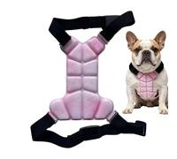 Dog Summer Vest | Lightweight 2-Sided Sun Protection - Warm Season Dog Gel Vest - for Small Medium Breeds Puppy Kitten Training Walking Adventure Hiking