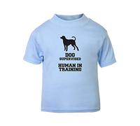 Dog supervised - Human in Training Short Sleeve Cotton Toddler t Shirt, 3-4 Years, Pastel Blue