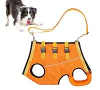 Dog Support Harness Canine Party Accessories, Pet Supplies | Adjustable Canine Life Vest Harness for Old, Aging, Elderly, Senior, Disabled, Injured Canines, Pets