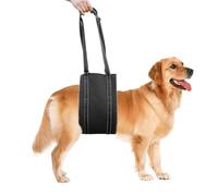 Dog Support Sling - Rear Limbs Lifter for Geriatric Recovery | Neoprene Soft Wrap with Padded Underbelly Cushion & Breathable Mesh Lining for Senior Canines, Injured Pets, Large Breeds and Repair