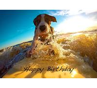 Dog Surfing Happy Birthday Card JL007 | Including Envelope - 125mm x 178mm