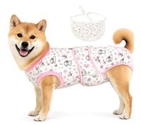 Dog Surgery Recovery Suit, Onesie for Female Male Dogs Post Spay Neuter, L