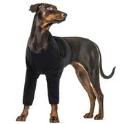 Dog Surgical Vest, Soft Dog Protective Sleeve for Front Leg Injury Recover Sprains Stop Licking Front Legs(Black, 2XL)