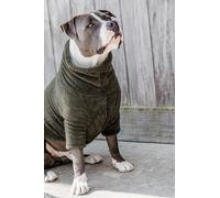 Kentucky Teddy Fleece Dog Sweater Green 43-50 cm