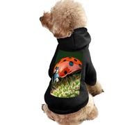 Dog Sweater Warm Dog and Cat Clothes Winter Dog Coat with Hoodie Soft Pet Clothes XS-2XL Cold Weather Red Ladybug Dasisy Dog Jacket for Small Medium Dogs and Cats