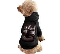 Dog Sweater Warm Dog and Cat Clothes Winter Dog Coat with Hoodie Soft Pet Clothes XS-2XL Cold Weather French Bulldog Dog Jacket for Small Medium Dogs and Cats