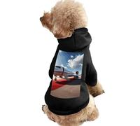 Dog Sweater Warm Dog and Cat Clothes Winter Dog Coat with Hoodie Soft Pet Clothes XS-2XL Cold Weather Red Carpet Airplane Dog Jacket for Small Medium Dogs and Cats