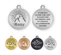 Dog Tag Personalised ID Tags for Dogs Cats Pets Custom Pet Collar Engraved Dog Name Tag for Dog Cat Puppy Kitty Stainless Steel 4 Colours 2 Sizes(L Silver)