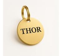 Dog Tags for Pets Engraved UK Brass Personalised Name Disc, Large Heavy Duty, Deep Engraved, UK Legal, The Stately Hound (Brass, Large: 30mm)