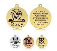 Dog Tags for Pets Engraved UK Personalised Dog Tag Dog Name Tag Dog Tags Dog ID Tag Custom Stainless Steel Dog ID Tags for Puppy Dogs Pet Dog (Gold S, Round)