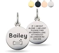 Dog Tags for Pets Engraved UK, Personalised Engraved Dog Tags for Pets, Stainless Steel Pet Tag for Doggy Kitten Kitty Puppy, Scratch Resistant Tag (A,L)