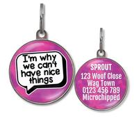 Dog Tags for Small Dogs - Personalised Small Pet Tags, 20+ Funny Sassy Designs, Lightweight Waterproof Pet ID Tag with Custom Back Info, 36 Colour Options (I'm Why We Can't Have Nice Things)