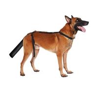 Dog Tail Protector, Adjustable Dogs Tail Cover, Tail Wound Protector, for Aid Wound Recovery, Prevent Licking Wounds, Soft and Breathable (M)
