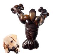 Dog Teething Toys Fun Chewing Interactive Safe Bone