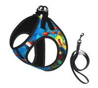 Dog The Underwater World Tropical Fish Printed Harness And Leash Set,Adjustable,Breathable Soft,Step-In Mesh Pet Vest Harness With Reflective Strip
