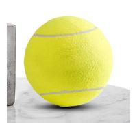 Dog Toy Ball Small Medium Large Interactive Pet Supplies Training
