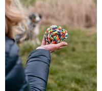 Dog toy ball with ropes Nobby Pet