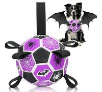Dog Toy, Balls, Dog Football, Hat Ball, Durable Balls for Small, Medium Pets, Puppies, Outdoor Toy, Pet Training Football, Halloween Series (Spider Bat, 15 cm)