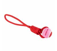 Dog toy Coockoo Catch Me