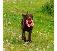 Dog toy Nobby Pet Tpr Rettungsring Mit Seil