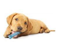 Nylabone Puppy Teething Dental Chew, Blue (Size:XS)