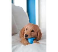 Dog toy Nylabone Puppy Teething Dental Dino - Chicken Flavour S