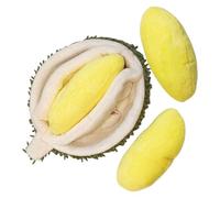 Dog Toy - Realistic Durian-Shaped Plush Chew Toy with Squeaker for Activity and Care | Squeaky Toy for Dogs | For Puppies Indoor Outdoor as a Birthday Gift