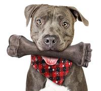 Dog Toys for Aggressive Chewers, Indestructible Bones Toy for Aggressive Chewers, Tough Puppy Chew Toy for Heavy Duty Dogs, Big Dog Teething Toys with Durable Nylon for Large/Medium Breed Puppies