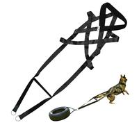 Dog Traction Belt for Pulling Exercises, Heavy-Duty Cotton Harness with D-Rings, Ideal for Strength Training and Endurance Work