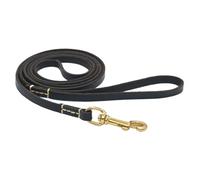 Dog Traction Rope | Adjustable and Compact | Dog Walking Lead | for Small Medium and Large Dog Breeds for Walking, Garden, Yard, Outdoor Park