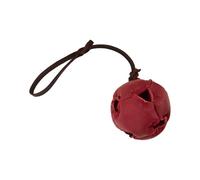 Dog Training Ball on Rope, Chew Ball for Puppies and Large Dogs, Exercise & Reward Toy, for Training Pull Throw Tug Fetch (Red)