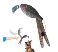 Dog Training Bumper Toys: Hunting Retriever, Aromatic Floating Bird Lures, Interactive Pet Supplies, Obedience Equipment