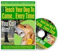 Dog Training DVD: Teach Your Dog To Come... Every Time You Call