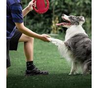 Dog training frisbee, TPR non-toxic soft rubber, milk flavored and bite resistant, floating puzzle outdoor throwing toy, grinding teeth, tear resistant and washable, suitable for dogs (Red)