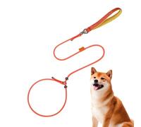 Dog Training Leads For Walking,59in Escape-proof Medium Dog Neck Slip Harness - 360-degree Anti-knot Rotation Escape-Proof Dog Harness Double Limit Design