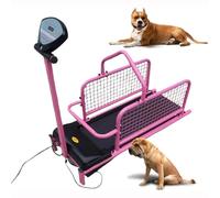 Dog Treadmill for Indoor Exercise, LCD Display, Supports Pets up to 176 lbs