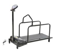Dog Treadmill for Large Medium Dogs, Adjustable Ramp Canine Running Slatmill Machine with Pedometer for Exercise & Healthy Fit Pet Life Indoor Home