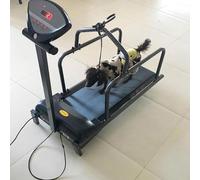 Dog Treadmill for Large,Medium Dogs, Adjustable Ramp Canine Running Slatmill Machine with Pedometer for Exercise & Healthy & Fit Pet Life