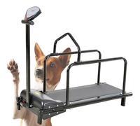Dog Treadmill for Medium and Large Dogs - Display for Pet Exercise