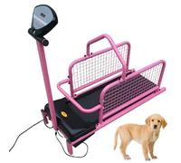 Dog Treadmill for Small Dogs - Indoor Pet Exercise Treadmill with Digital Display Screen, Adjustable Speed Control & 176Lb (80Kg) Weight Capacity for Daily Fitness Training