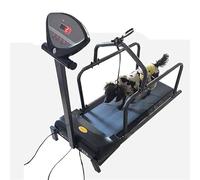 Dog Treadmill for Small Dogs with Display Screen, Dogpacer Treadmill, Running Training Device for Indoor and Outdoor Dogs, 80 kg/176 lbs Load Capacity