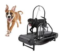Dog Treadmill for Small/Medium Dogs, Easy to Move Canine Treadmill, Indoor & Outdoor Slatmill, Supports Up to 300LBS for Dog Training