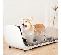 Dog Treadmill with Automatic Feeding for Small Medium Dogs, Pet Fitness Equipment with Remote Control, 40kg Load